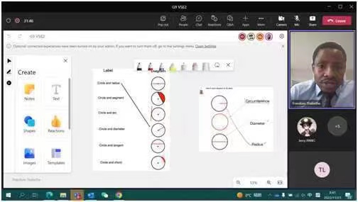 virtual teaching - virtual teaching